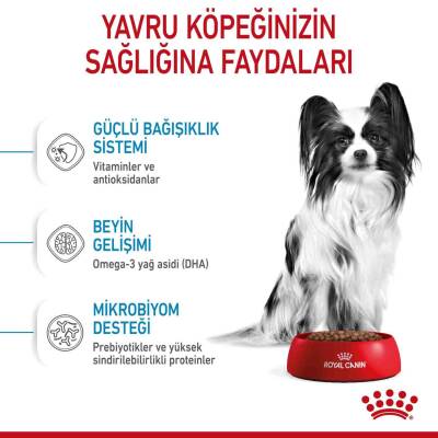 Royal Canin XS Puppy Mini Irk Yavru Köpek Maması 3 kg - 3