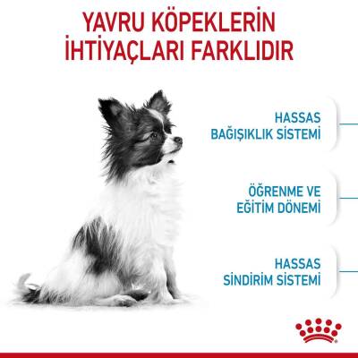 Royal Canin XS Puppy Mini Irk Yavru Köpek Maması 3 kg - 2