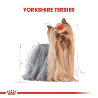 Royal Canin Yorkshire 28 Yorkshire Terrier Köpeklerine Özel Irk Maması 1,5 kg - 2