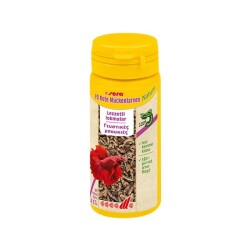 Sera FD Bloodworms Nature Kan Kurdu Lezzetli Lokmalar Balık Yemi 50 ml - Sera