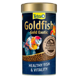 Tetra Goldfish Gold Exotic Egzotik Japon Balık Yemi - Tetra