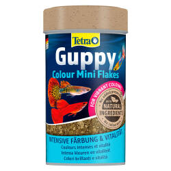 Tetra Guppy Colour Mini Flakes Lepistes Pul Balık Yemi 100 Ml - Tetra