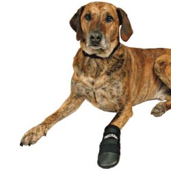 Trixie Köpek Patiği Neopren 2 Adet S Siyah - Trixie