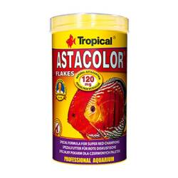 Tropical Astacolor Renk Arttırıcı Discus Balığı Yemi 20 Gr - TROPICAL