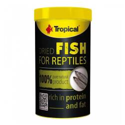 Tropical Dried Fish Kurutulmuş Balık 35 Gr - TROPICAL