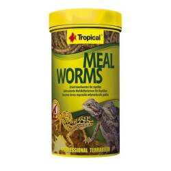 Tropical Meal Worms Kurutulmuş Un Kurdu 30 Gr - TROPICAL