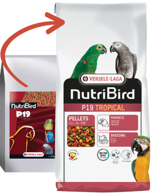 Versele Laga Nutrıbırd P19 Tropıcal Papağan Pelet Yem 10 Kg