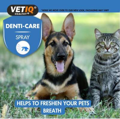 Vet IQ 2in1 Gum Shield Kedi Köpek Ağız ve Diş Bakım Spreyi 100 ml - 3