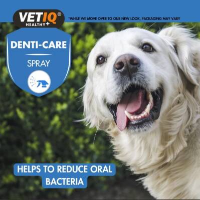 Vet IQ 2in1 Gum Shield Kedi Köpek Ağız ve Diş Bakım Spreyi 100 ml - 5