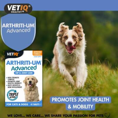Vet IQ Arthiriti-Um Kedi ve Köpekler İçin Kalça ve Eklem Bakımı 45 Tablet - 3