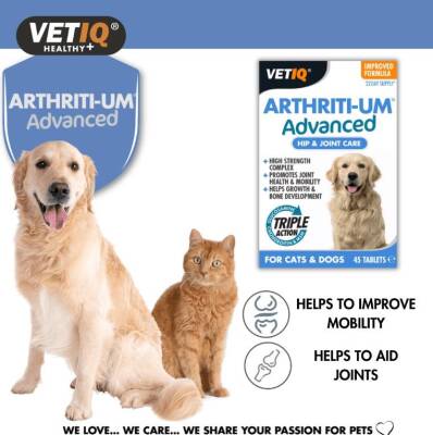 Vet IQ Arthiriti-Um Kedi ve Köpekler İçin Kalça ve Eklem Bakımı 45 Tablet - 4