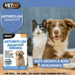 Vet IQ Arthiriti-Um Kedi ve Köpekler İçin Kalça ve Eklem Bakımı 45 Tablet - 2