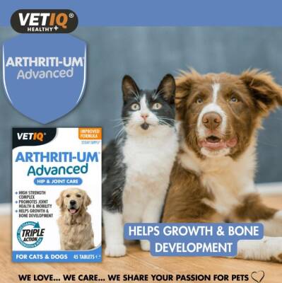 Vet IQ Arthiriti-Um Kedi ve Köpekler İçin Kalça ve Eklem Bakımı 45 Tablet - 2