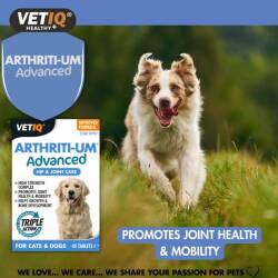Vet IQ Arthiriti-Um Kedi ve Köpekler İçin Kalça ve Eklem Bakımı 45 Tablet - 3