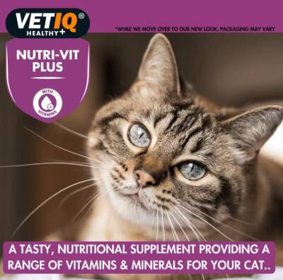 Vet IQ Nutri-vit Plus for Cats & Kittens Kediler İçin Vitamin & Mineral Takviyesi 70 gr - 3