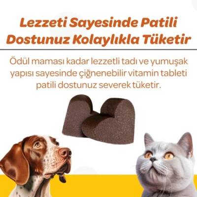 Vet's Plus Immune Kedi ve Köpekler İçin Bağışıklık Sistemi Destekleyici Çiğnenebilir Tablet 60 Adet - 2