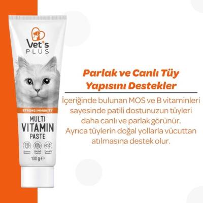 Vet's Plus Multi-Vitamin Taurinli Malt Kedi Macunu 100 Gr - 2