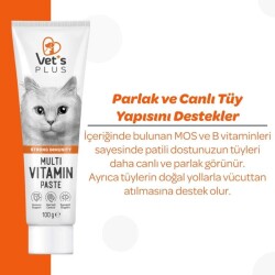 Vet's Plus Multi-Vitamin Taurinli Malt Kedi Macunu 100 Gr - 2