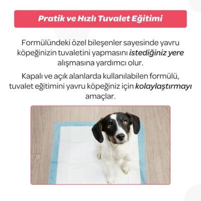Vet's Plus Yavru Köpek Tuvalet Eğitim Spreyi 100 Ml - 4