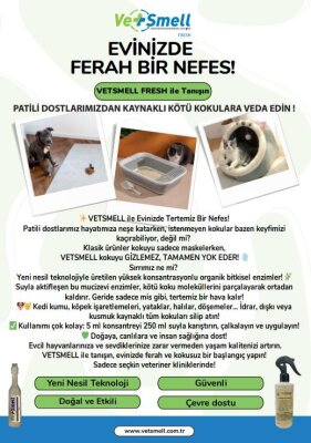 Vetsmell Konsantre Organik Kötü Koku Giderici 250 ml - 2