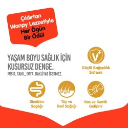 Wanpy Ördekli Tahılsız Yetişkin Köpek Maması 12 kg - 3
