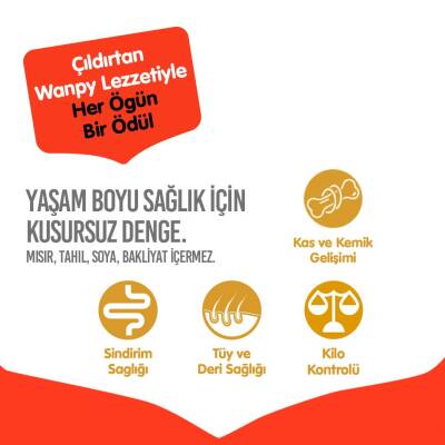 Wanpy Sığır Etli Tahılsız Yetişkin Köpek Maması 12 kg - 3