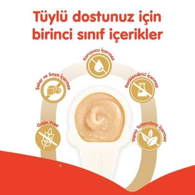 Wanpy Somonlu Kaşık Krema Kedi Ödül Maması 10x16 gr - 2