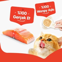 Wanpy Somonlu Kaşık Krema Kedi Ödül Maması 10x16 gr - 5