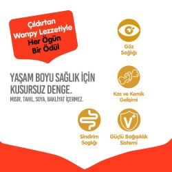 Wanpy Tavuklu Tahılsız Yavru Kedi Maması 1,5 Kg - 3