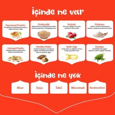 Wanpy Tavuklu Tahılsız Yetişkin Kedi Maması 8 Kg - 4