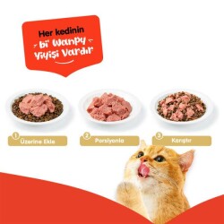 Wanpy Ton Balıklı Tahılsız Yetişkin Kedi Konservesi 375 gr - 2